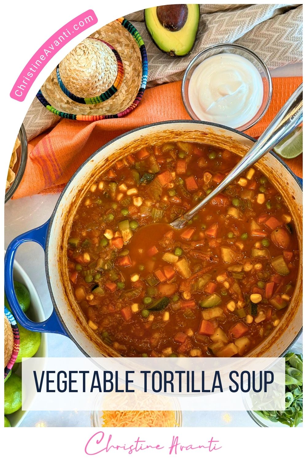 Vegetable Tortilla Soup - Christine Avanti